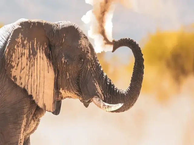 Dust spraying christin winter edited 1024x576 (1) result 640x480